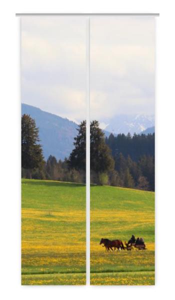 Auf dem Weg 2er Set Flächenvorhang blickdicht